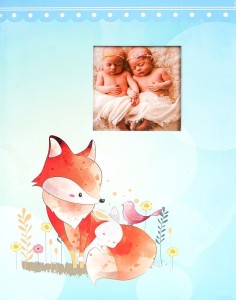 FOTOALBUM SAMOPRZYLEPNY FOX, FANDY