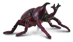 ROHATYNIEC NOSOROŻEC, COLLECTA