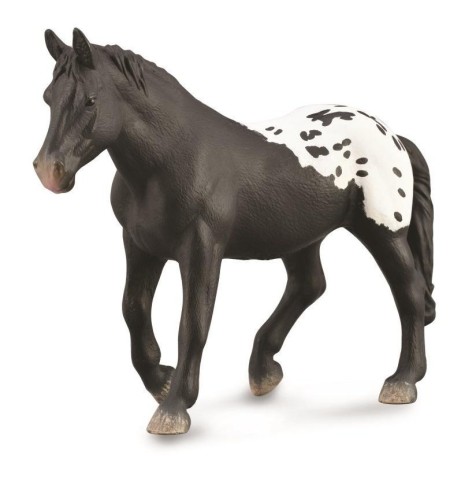 Klacz Sugarbush Draft, Collecta